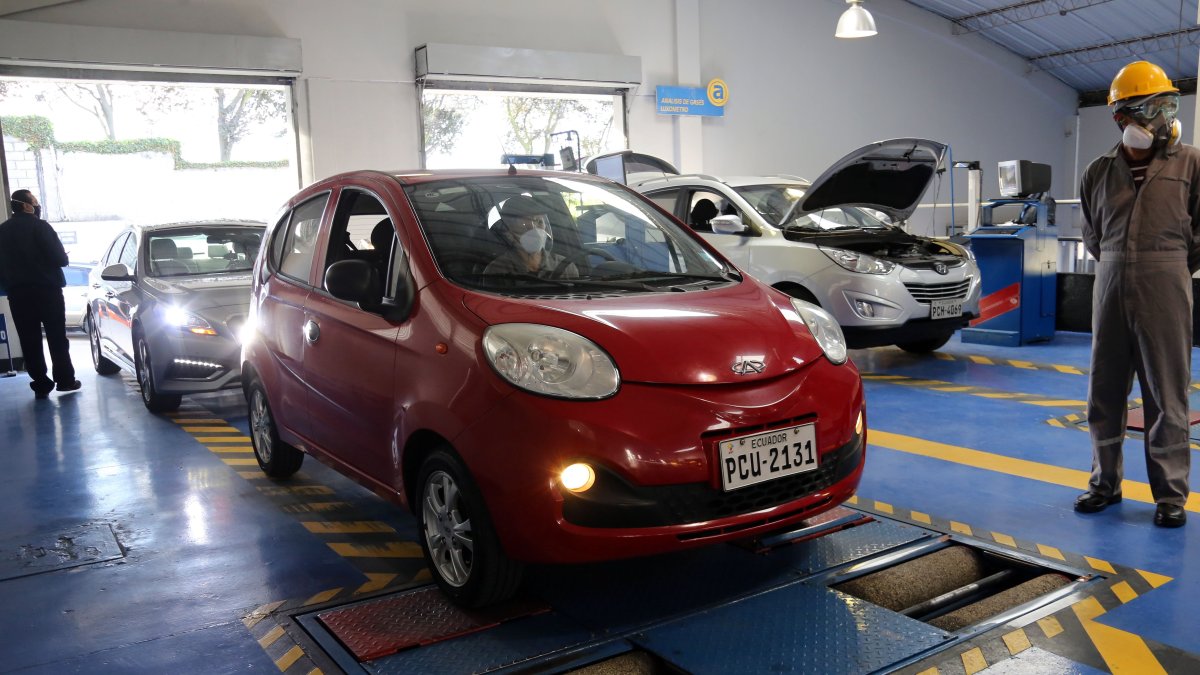 La revisión se retomó en los seis centros que hay en la urbe.