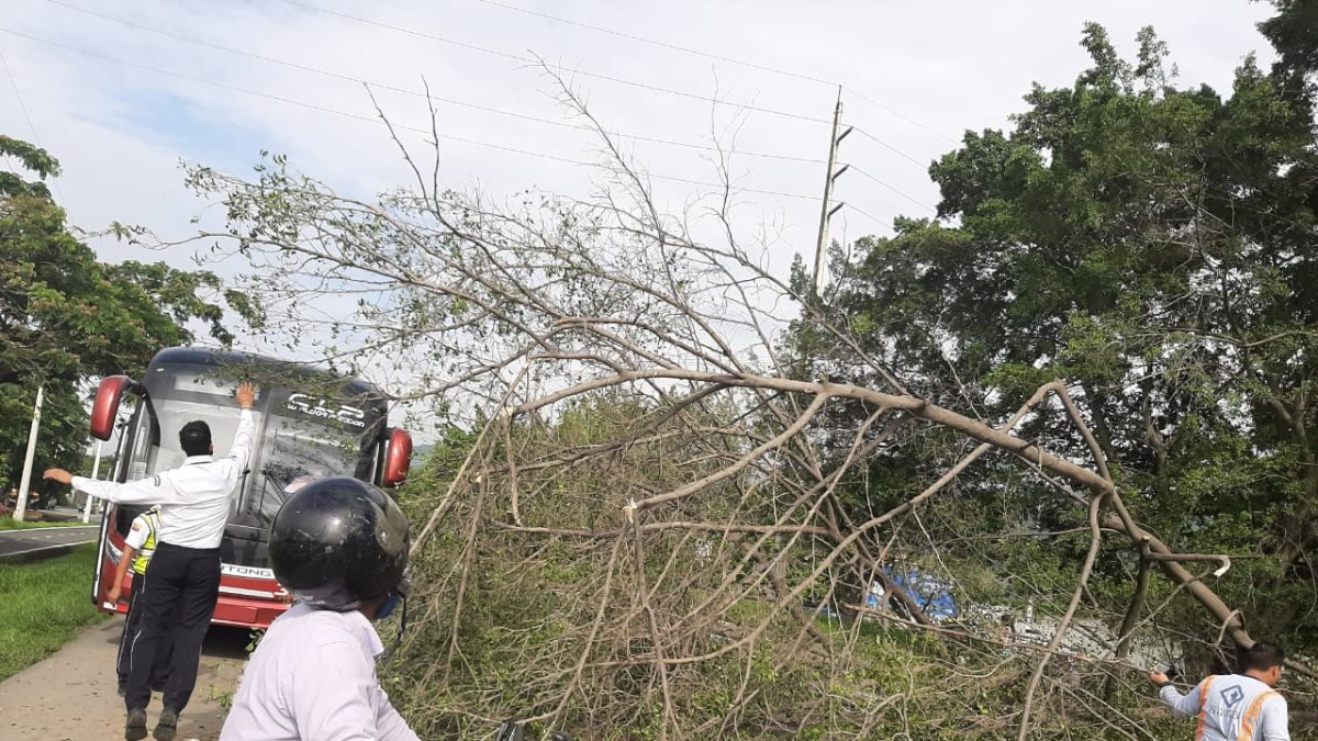 El hecho. Ocurrió en el sentido Santa Elena-Guayaquil, pasadas las 09:00.