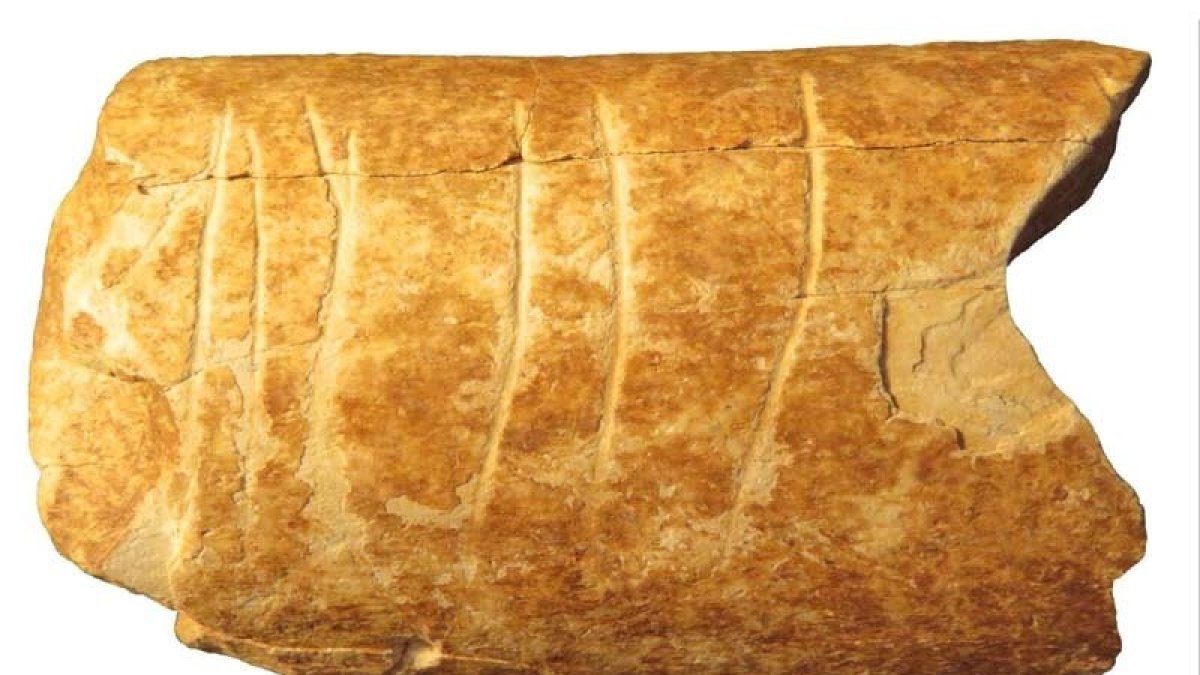 Fotografía del hueso y los grabados.