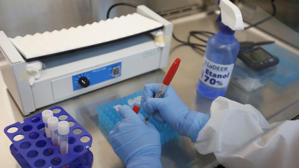 Investigadores trabajan con muestras de la Covid-19 ayer, en el Laboratorio de Diagnóstico en Enfermedades Emergentes y Reemergentes (LaDEER) de la Universidad de Guadalajara (UDG).