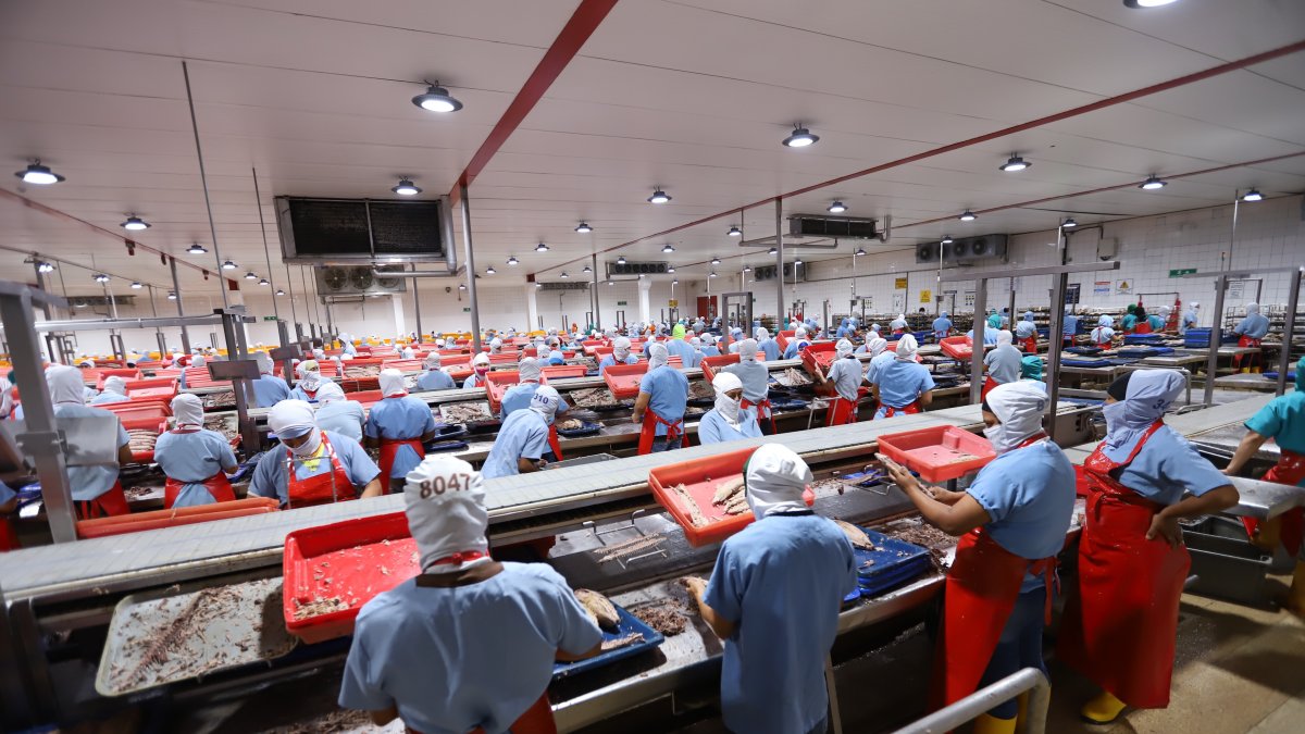 Según el Banco Central, Se espera que las exportaciones ecuatorianas crezcan cerca de 2 %, comparado con 2020.