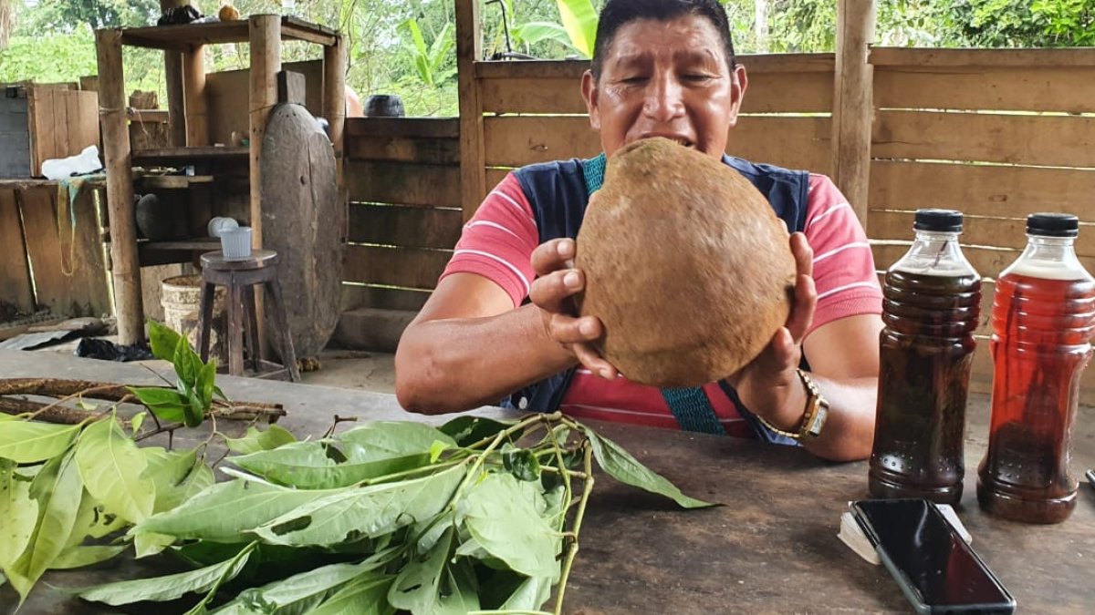 Secretos. Gabriel Guallo aprendió de sus abuelos la forma de utilizar algunas plantas.