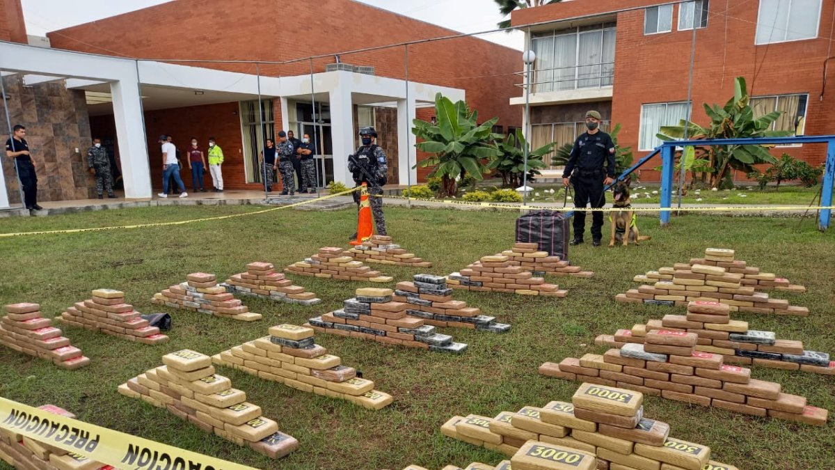 Incautación. En las instalaciones del centro de adiestramiento canino se dio a conocer este decomiso.