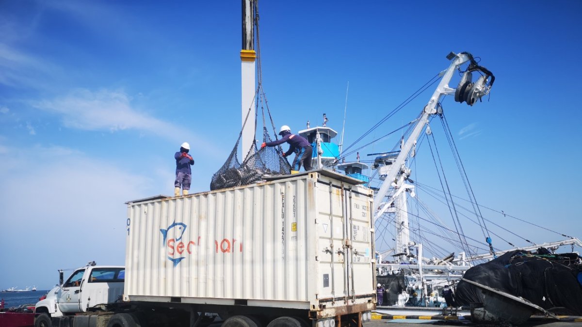 El sector pesquero no paró durante la pandemia y mantuvo las exportaciones.