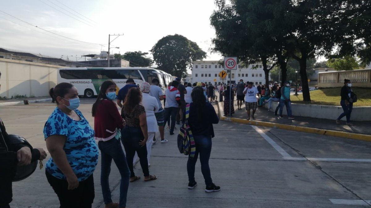 Pese a las recomendaciones las filas no han podido evitarse.