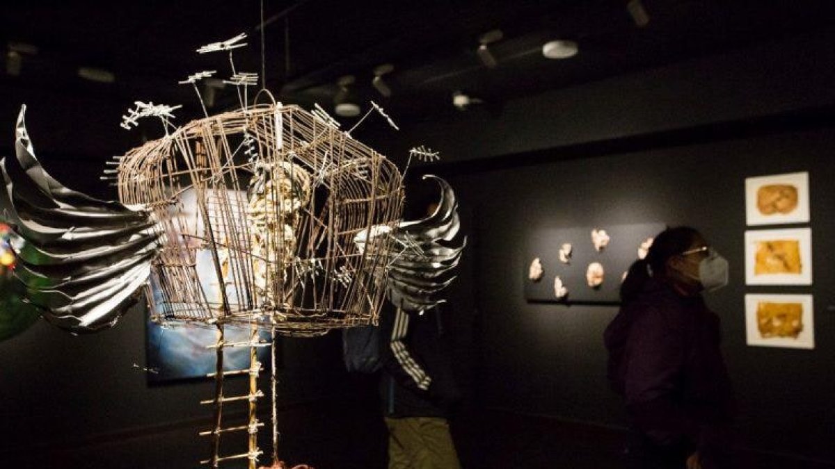 La exposición estará abierta hasta el próximo 22 de mayo.