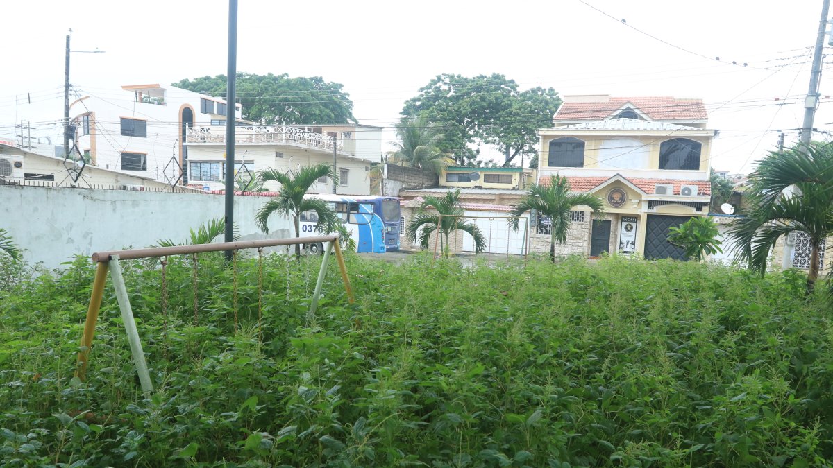 Hecho. La maleza cubre el principal parque de la 13 etapa de la Alborada.