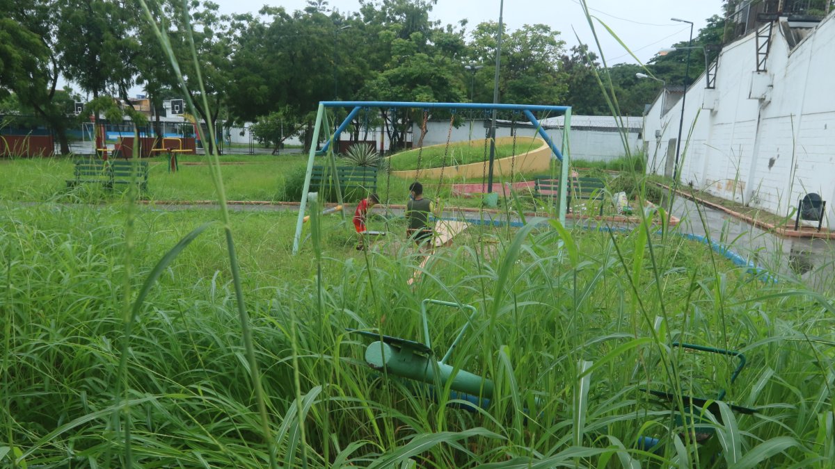 Este es el panorama que se refleja en algunas áreas verdes de La Floresta 1, en el sur de la ciudad.