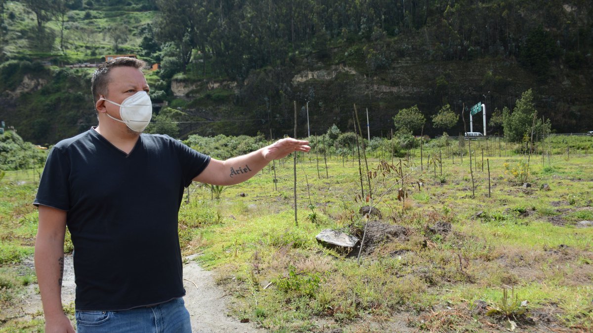 La propuesta del abogado Rafael Lugo surgió en Twitter, donde el alcalde Yunda la acogió en 2019. Se han hecho tres grandes intervenciones.