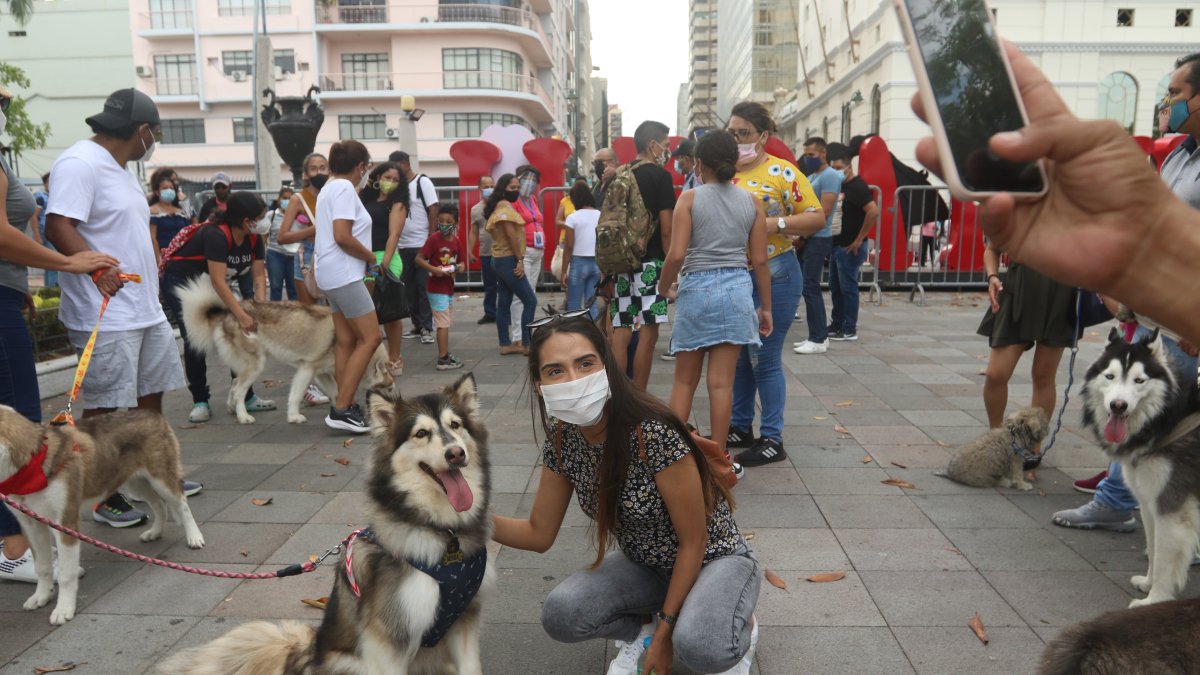 Los miembros del Club Lobos de Ártico se reunieron en el Malecón 2000.
