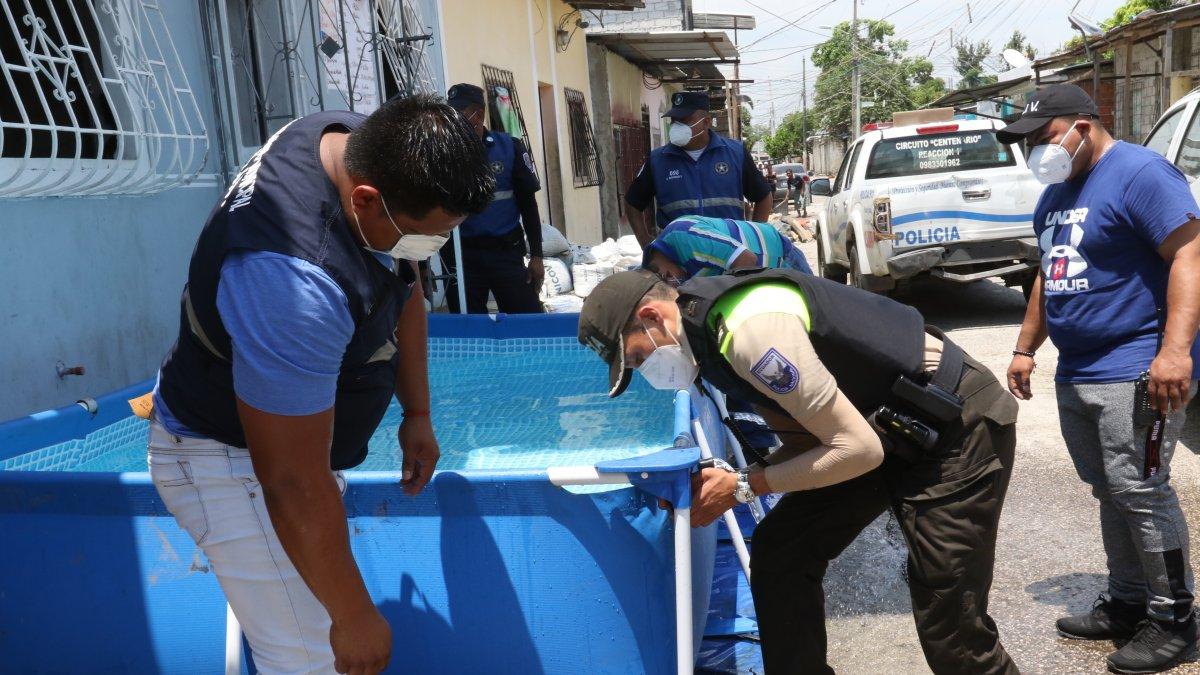Las piscinas. Desde que inició el feriado, pese a que el COE cantonal las prohibió para evitar las aglomeraciones, en Guayaquil a diario armaban piscinas en las calles.
