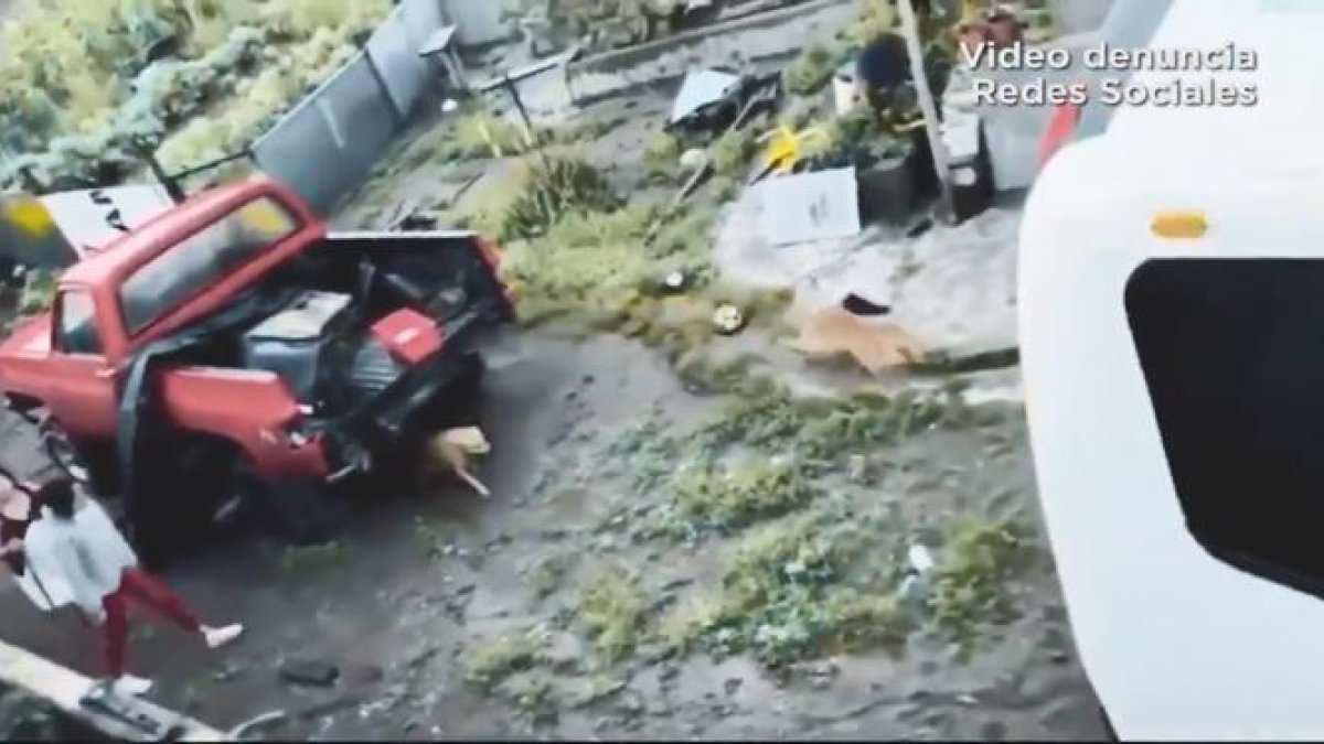 En redes sociales circuló un video de un supuesto maltrato animal.