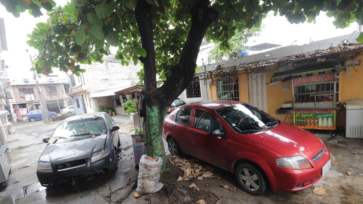 Espacios. Una de las problemáticas es porque la mayoría de viviendas, de diversos sectores, no tienen garaje y los vehículos quedan estacionados fuera de las viviendas.