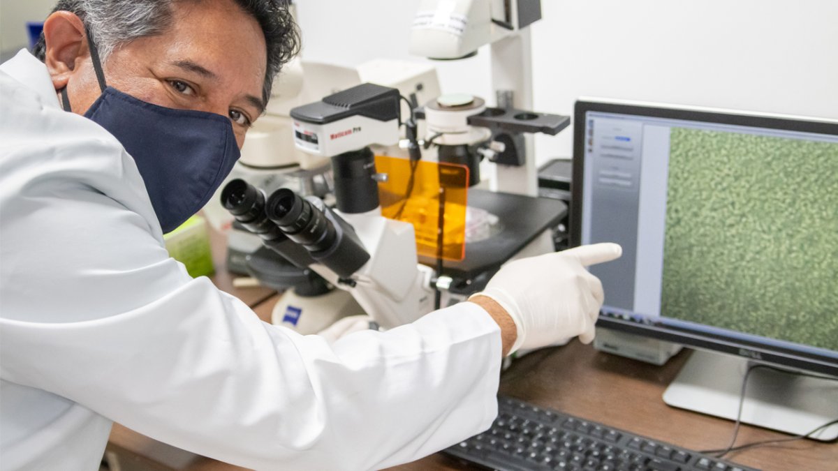 El Dr. Washington Cárdenas es el jefe del Laboratorio para Investigaciones Biomédicas de la Espol