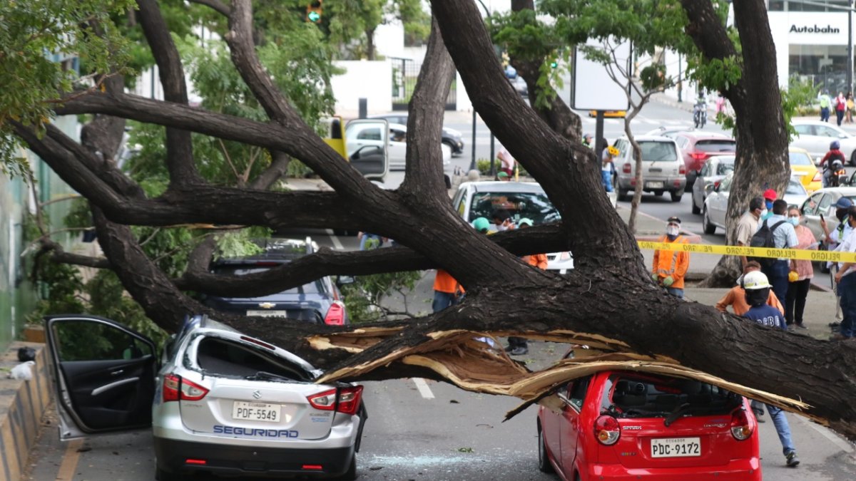 En cada vehículo solo iba una persona. Ellos fueron atendidos por personal del cuerpo de bomberos.
