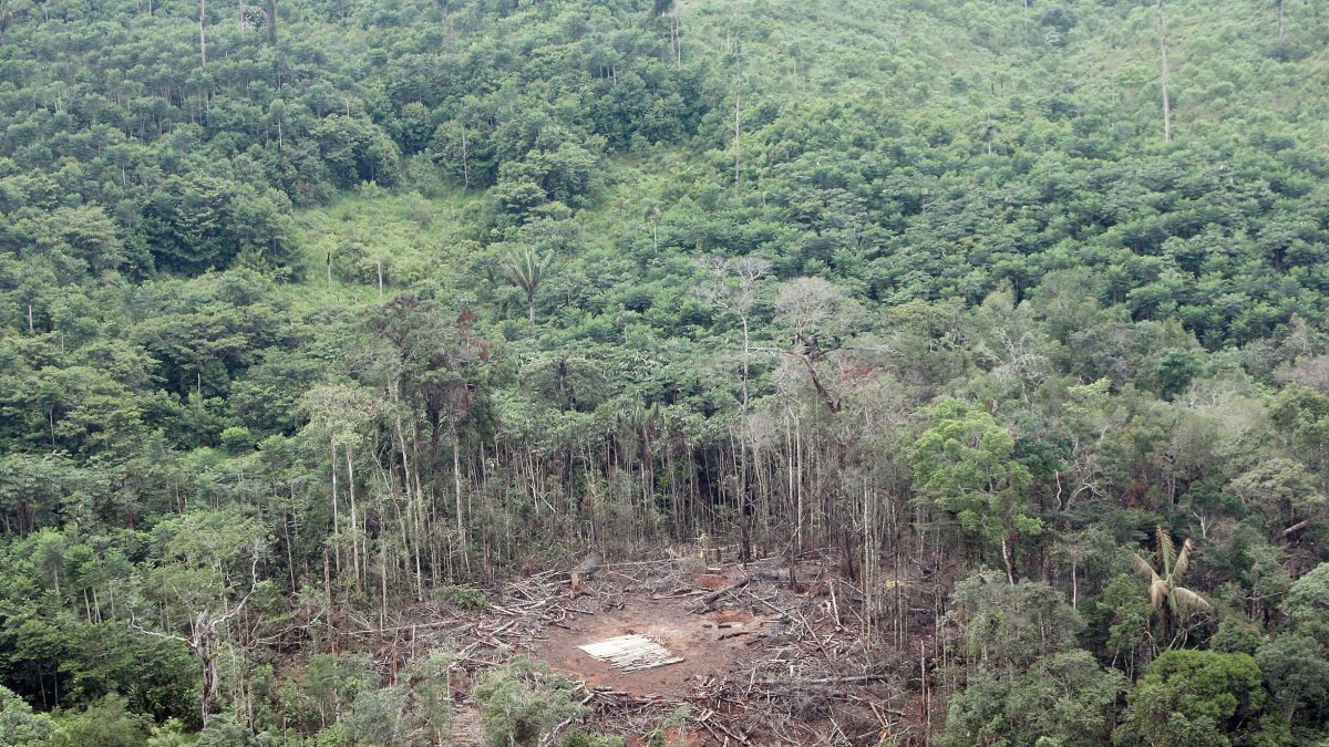 Vista aérea del lugar del bombardeo del 1 de marzo de 2008, realizado por fuerzas colombianas en el que murió el segundo de las FARC, Raúl Reyes, en Angostura, provincia de Sucumbios en zona fronteriza con Colombia.