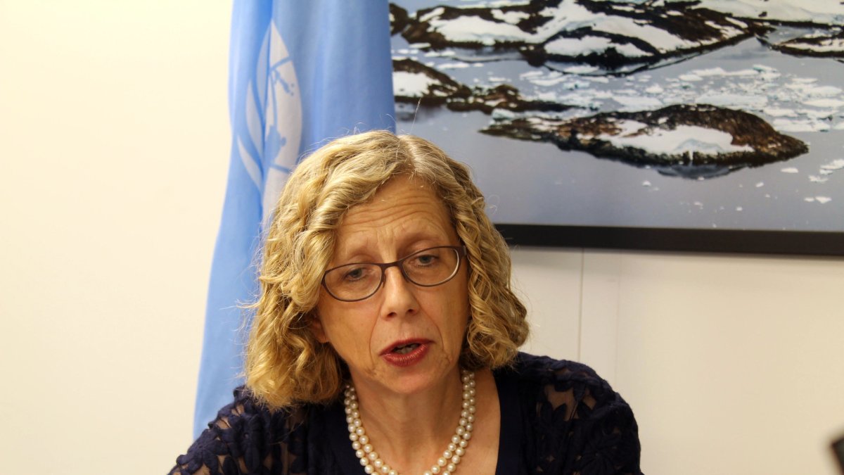 ONU: el mundo desperdició 931 millones de toneladas de alimentos en 2019.