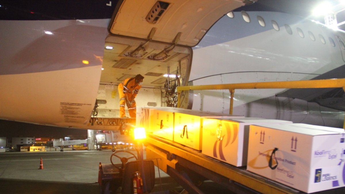 Las dosis llegaron al aeropuerto de Guayaquil, la madrugada de este sábado