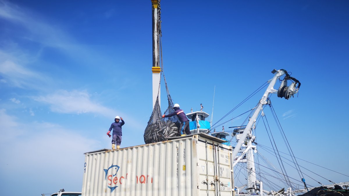 Producción. El país procesa en tierra 550.000 toneladas anuales de pescado, 250.000 son importadas.