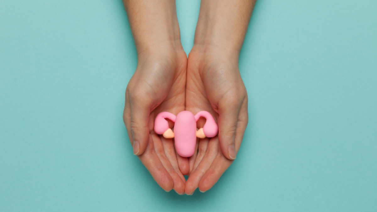 Las luchas son individuales y no necesitas de un útero para ser mujer.