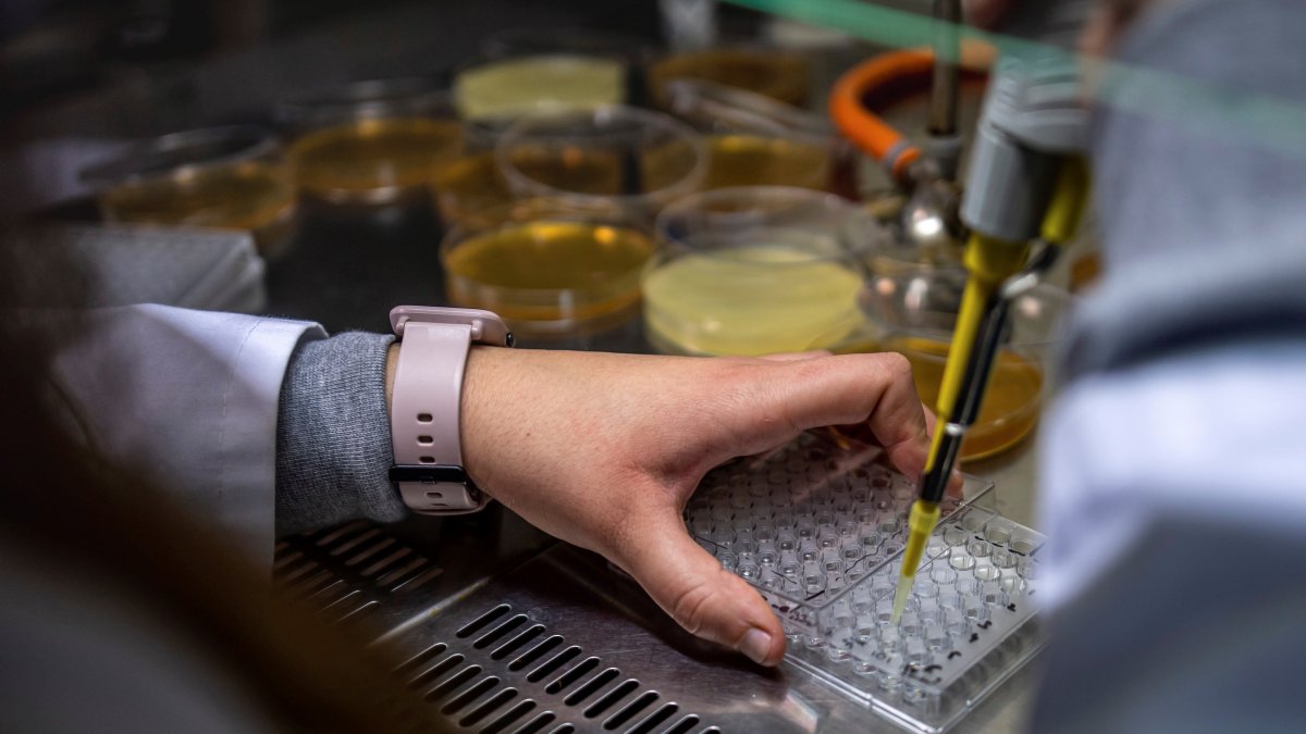 solo el 3 % de los Premios Nobel en ciencias han sido otorgado a mujeres, en tanto que solo el 30 % de los investigadores en áreas STEM (Ciencia, Tecnología, Ingeniería y Matemáticas) son del sexo femenino.