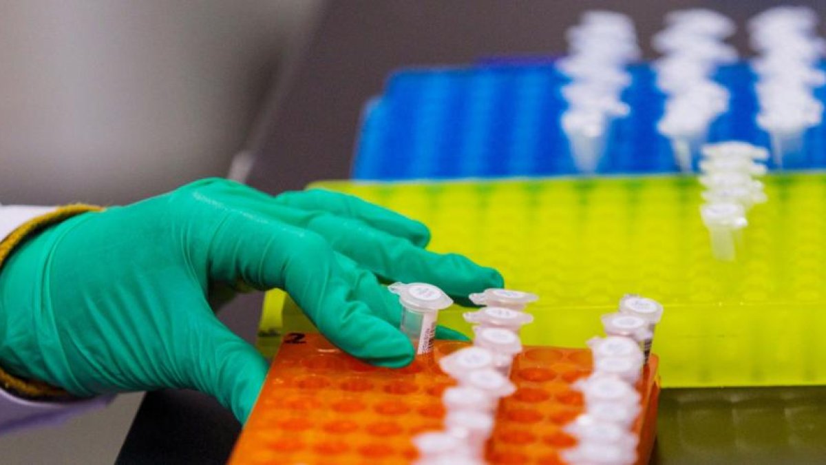 Referencial. Aunque los blastocitos humanos obtenidos tras una fertilización in vitro han aportado a los investigadores, hasta la fecha, información valiosa, su disponibilidad y uso también son muy limitados.