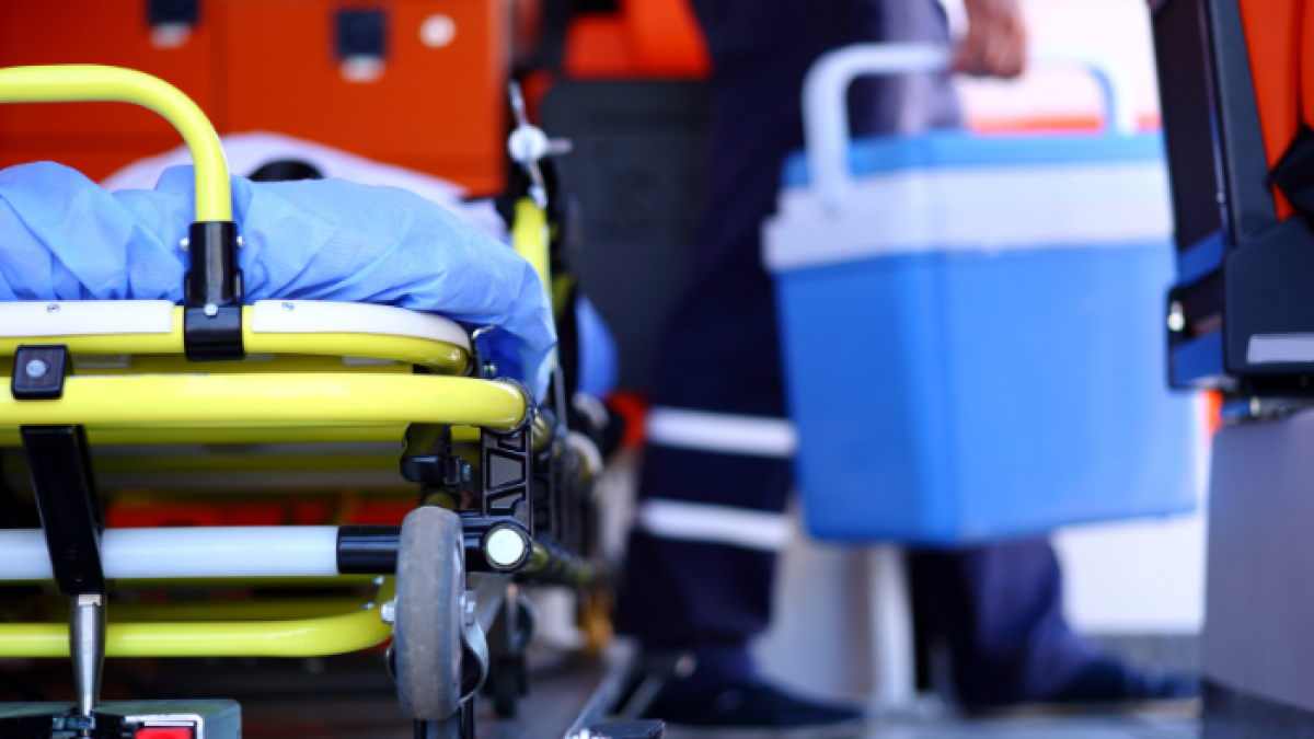 Vernaza y su grupo colectaron datos de 8.500 personas entre 2000 y 2020 que ayudaron a determinar la composición genética de panameños.