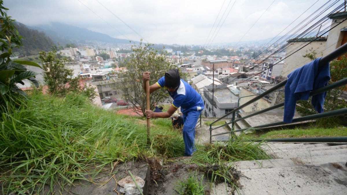 La organización barrial en Quito requiere reformas.