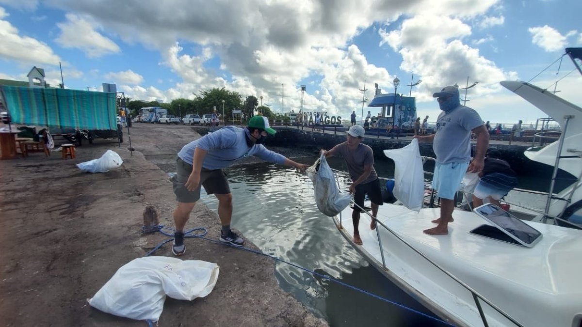 Varios hombres descargaron hoy bolsas con basura recogida del mar, durante una jornada de limpieza ecológica en Islas Galápagos.
