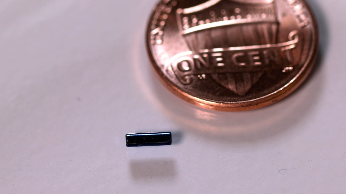 Fotografía cedida por Bionaut Labs donde se muestra a escala con una moneda de un centavo de dólar un microrobot.