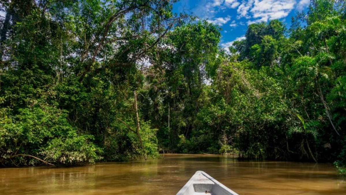 El Banco Mundial estima que hay aproximadamente 476 millones de indígenas en más de 90 países y, aunque sólo constituyen el 6 % de la población mundial, su forma de vida protege el 80 % de la biodiversidad del planeta.