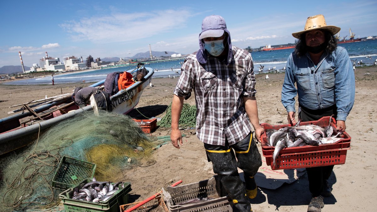 Los niños de la bahía Quintero-Puchuncaví, en pleno litoral central chileno, usan mascarillas desde mucho antes de la llegada del coronavirus.