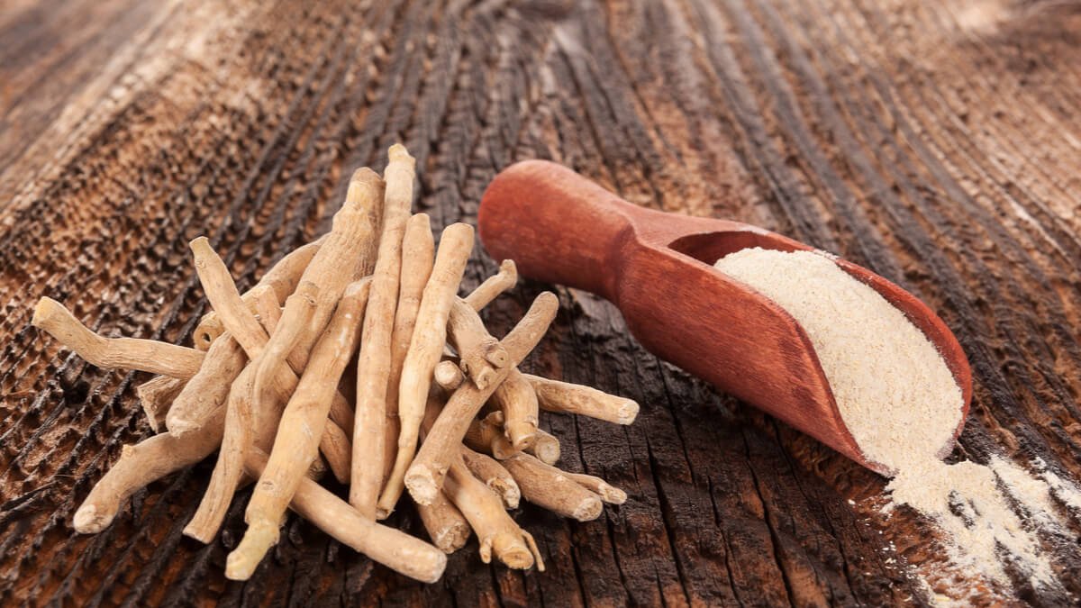 La ashwagandha es parte de la medicina ayurveda.