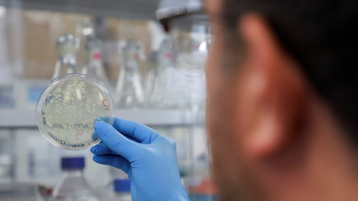 Investigadores descubren una posible nueva variante de la covid-19 en Bélgica.