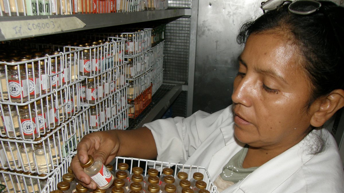 El Instituto Nacional de Higiene tenía a su cargo la producción de vacunas para distintas enfermedades.