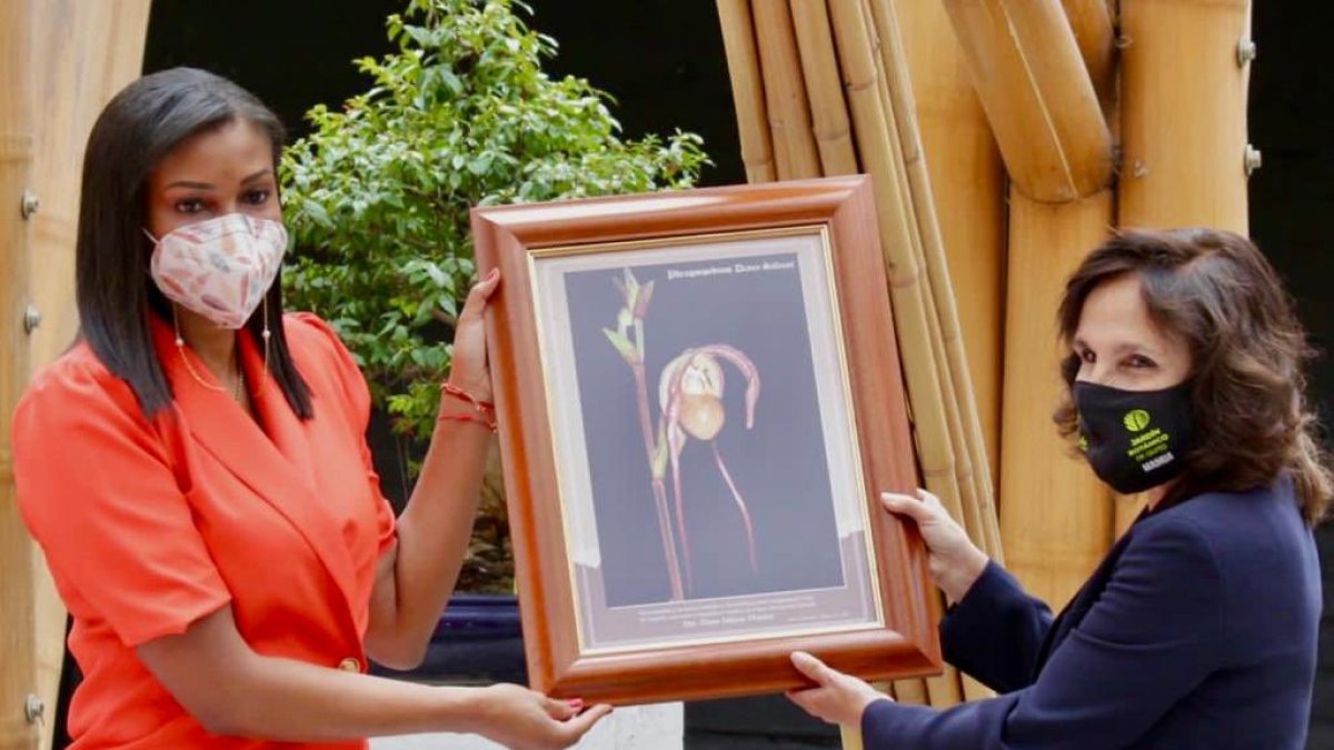 Una nueva especie de orquídea recibe el nombre de la fiscal general, Diana Salazar.