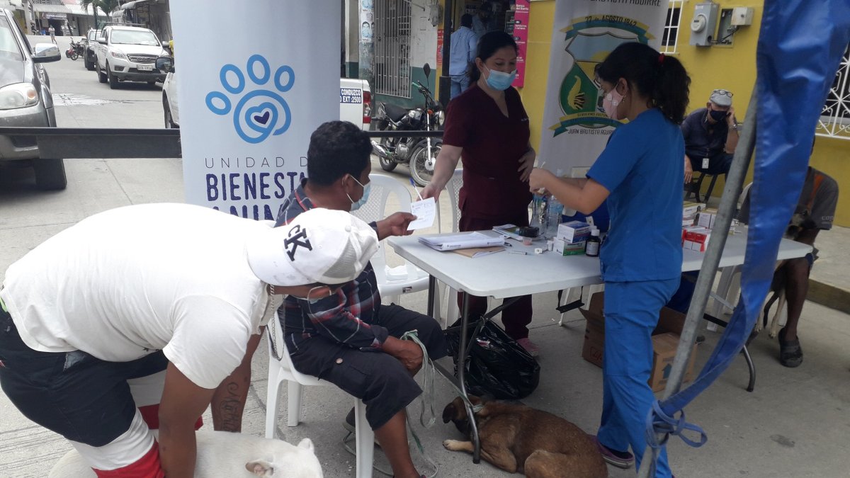Hecho. Llegaron de al menos seis recintos de Daule con sus mascotas.