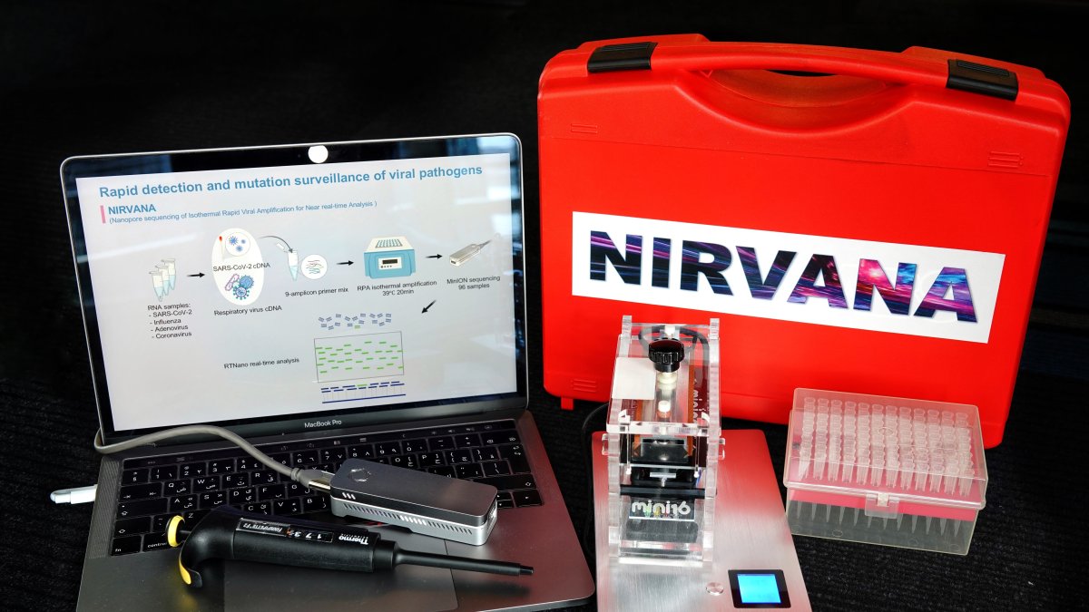 Imagen facilitada por el investigador Juan Carlos Izpisúa, del Instituto Salk.