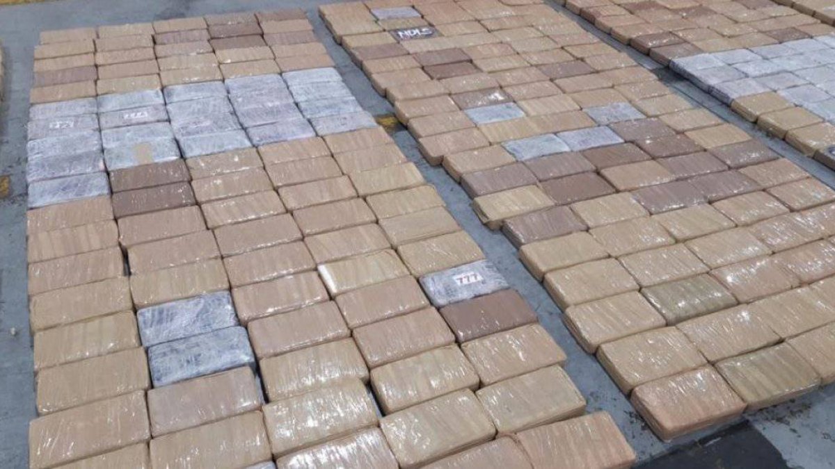 El alcaloide decomisado iba a ser enviado a Europa.