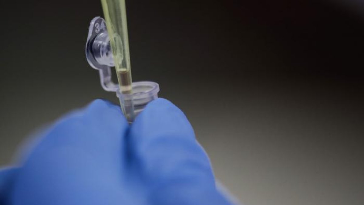 En América Latina circula la idea de que administrada en los primeros días desde la aparición de los síntomas puede prevenir que la enfermedad se vuelva grave. También se le atribuyen supuestos efectos profilácticos.