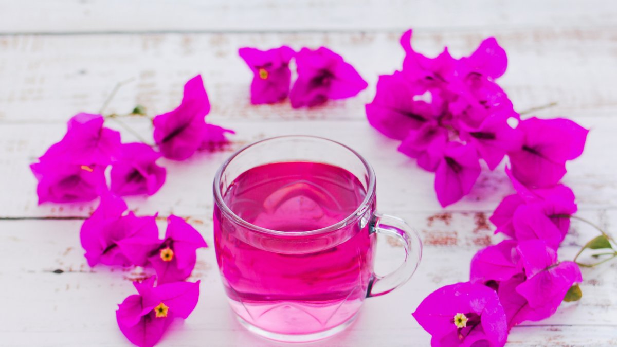 La Bugambilia se utiliza para tratar la tos