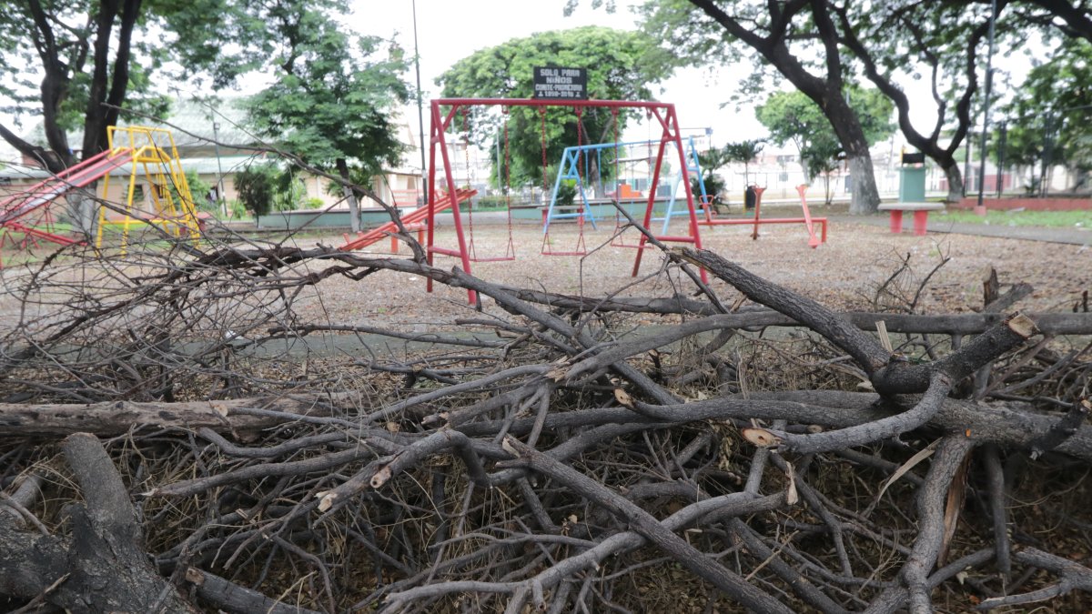 El parque Amazonas, que lleva el mismo nombre de la ciudadela ubicada en el sur de la urbe, está lleno de ramas secas de árboles que han sido podados por los mismos moradores.