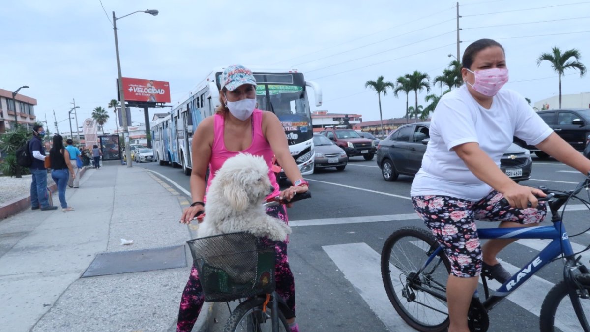 Distracción. Ya sea a pie o en bicicletas, los canes van con sus dueños.