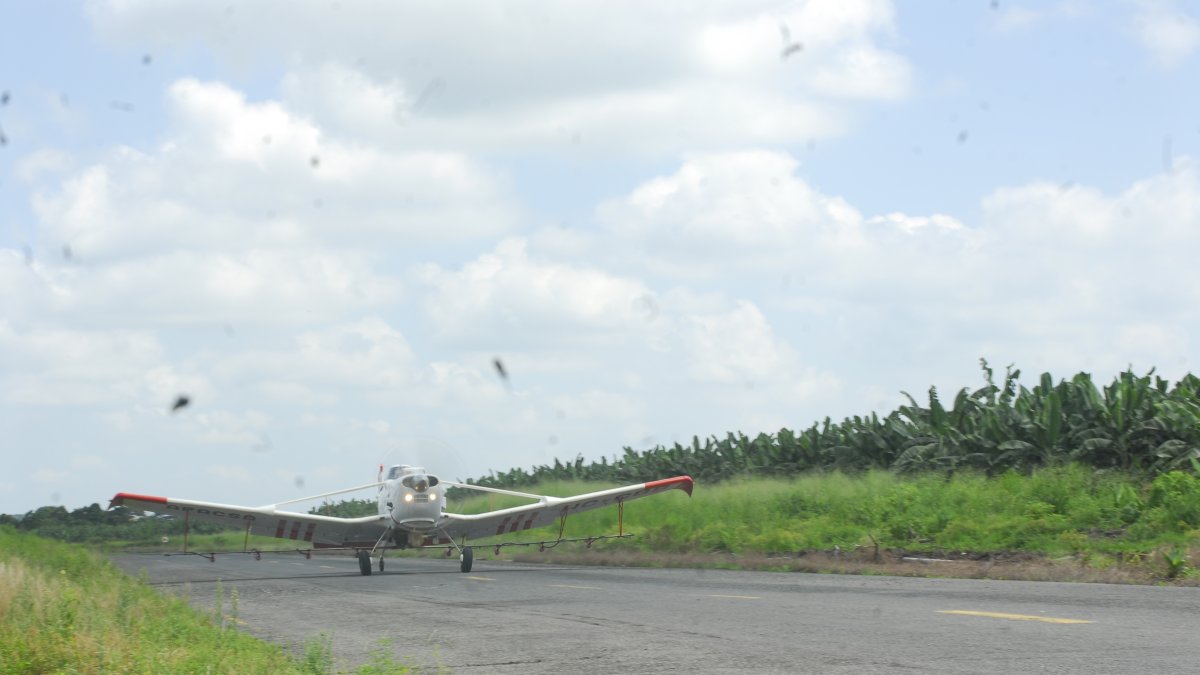 La fumigación aérea es más frecuente (en ciclos) en zonas de Los Ríos.