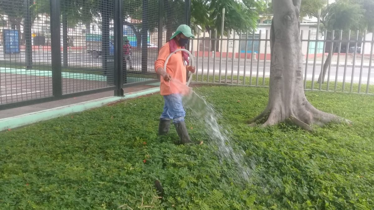 En varios puntos de la ciudad, se limpiaron calles, vías, canaletas y parques.