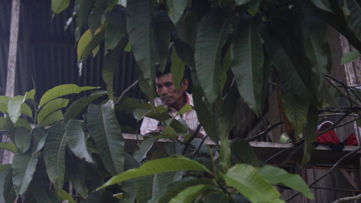 Referencial Amazonía.