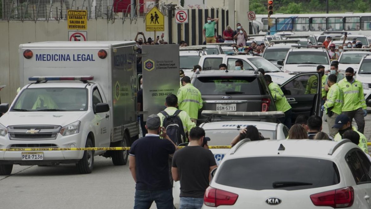 Alexis Paúl, de 18 años, fue detenido la madrugada del viernes 5 de febrero, en un departamento ubicado en el sector de la Valdivia, sur de Guayaquil.