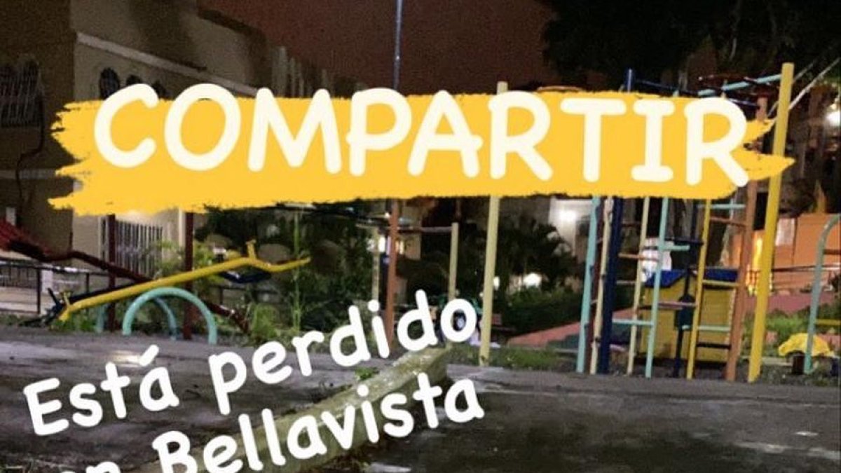 La cantidad de anuncios sobre mascotas perdidas aumenta en las redes sociales.