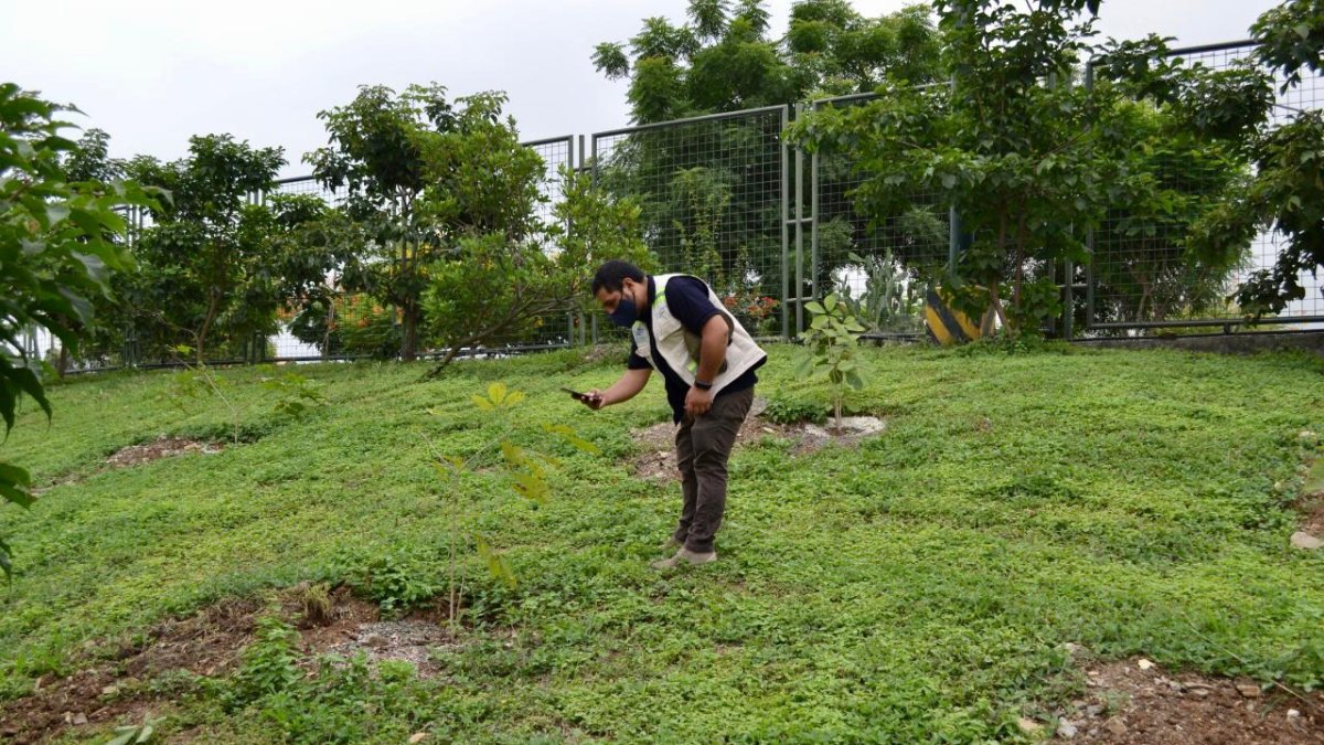 Hecho. Un total de 750 árboles fueron sembrados.