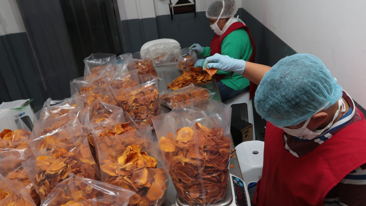 Préstamos. Las empresas que pueden acceder al programa deben facturar entre los $ 100.000 y 5 millones de dólares. 